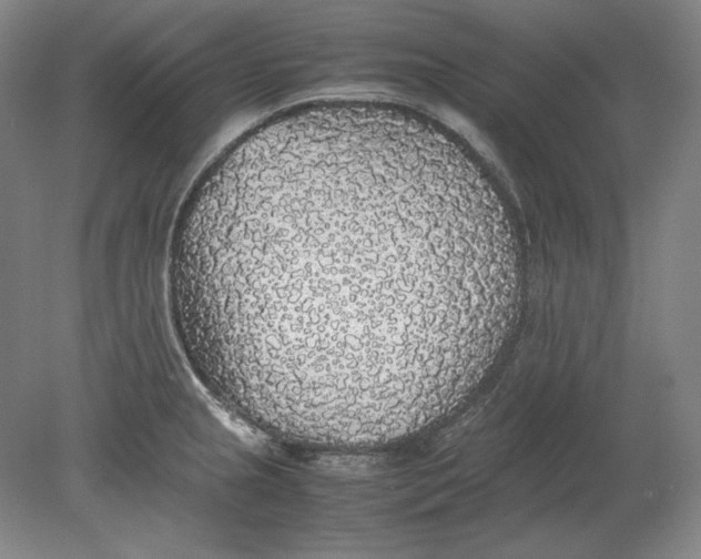 X0000080731237200701021112