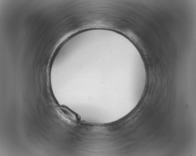 X0000080731238200701021112