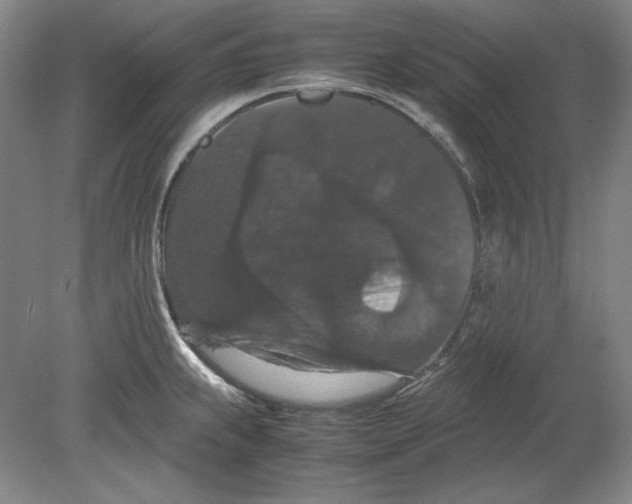 X0000080731239200701021112