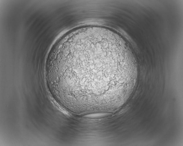 X0000080731240200701021112