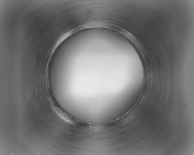 X0000080731242200701021112