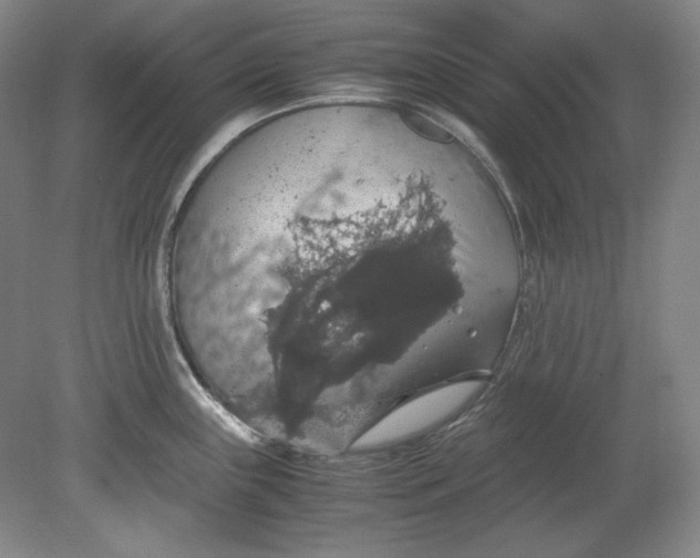 X0000080731243200701021112