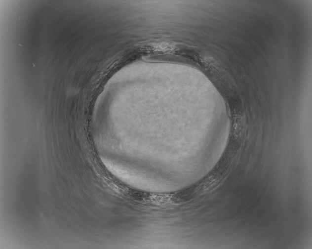 X0000080731249200701021111