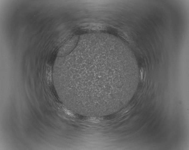 X0000080731251200701021111