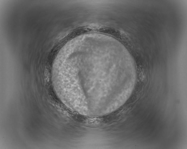 X0000080731253200701021111