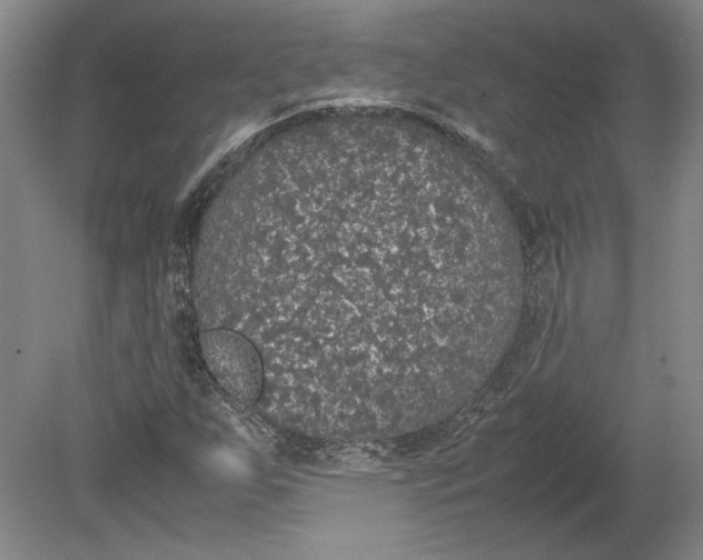 X0000080731255200701021111