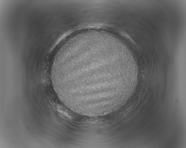 X0000080731256200701021111