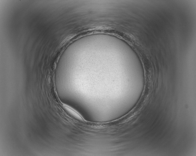 X0000080731257200701021111