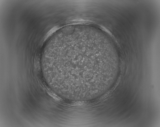 X0000080731259200701021111