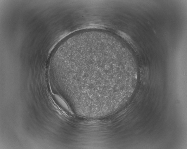 X0000080731260200701021111