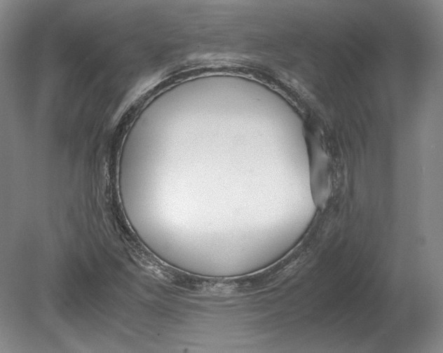 X0000080731261200701021111