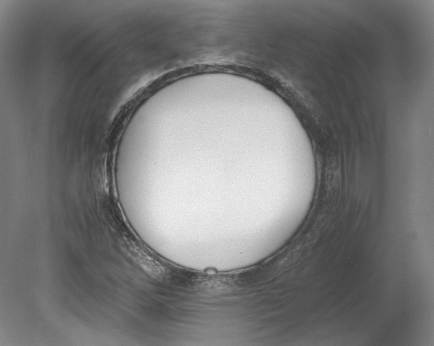 X0000080731262200701021111