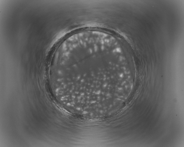 X0000080731263200701021111