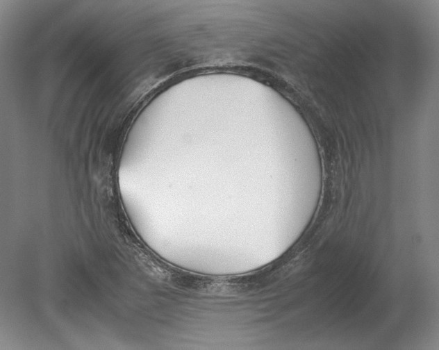 X0000080731265200701021111