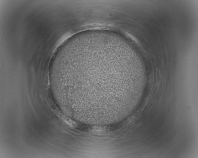 X0000080731267200701021111