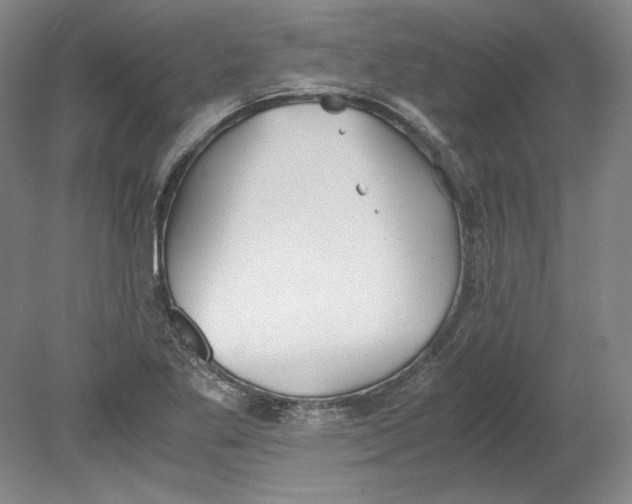 X0000080731269200701021111