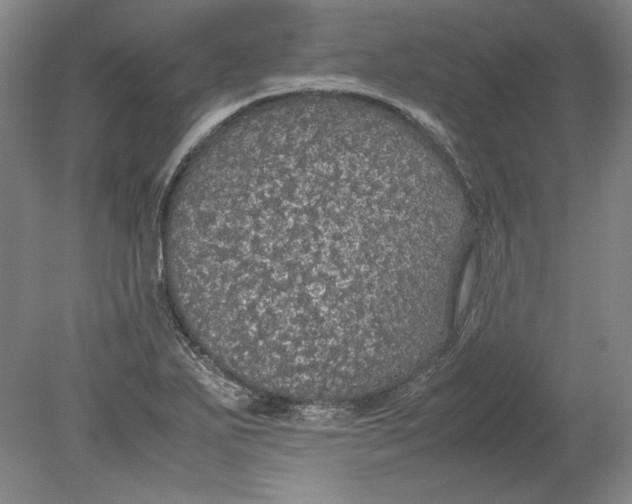 X0000080731271200701021111