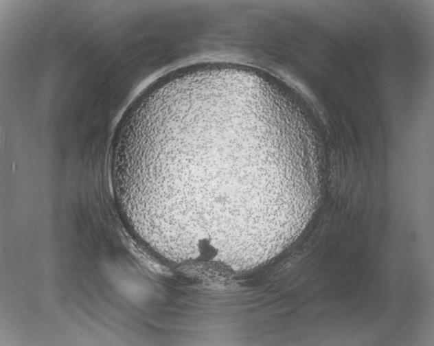 X0000080731272200701021111