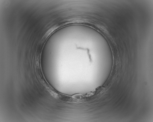 X0000080731273200701021111