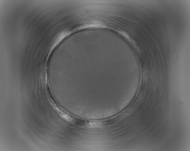 X0000080731274200701021111