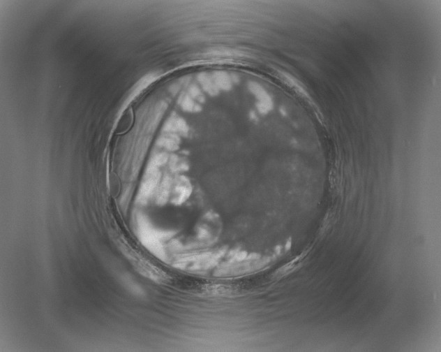 X0000080731275200701021110