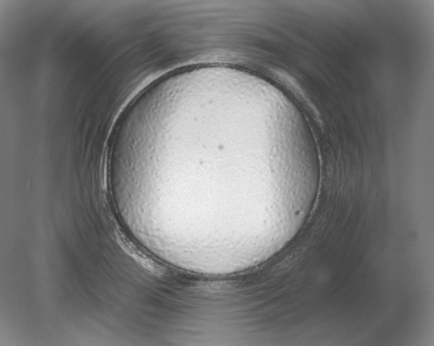 X0000080731276200701021110