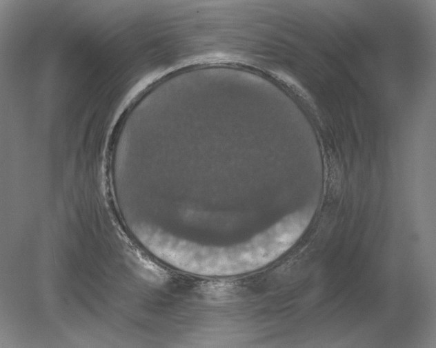 X0000080731278200701021110