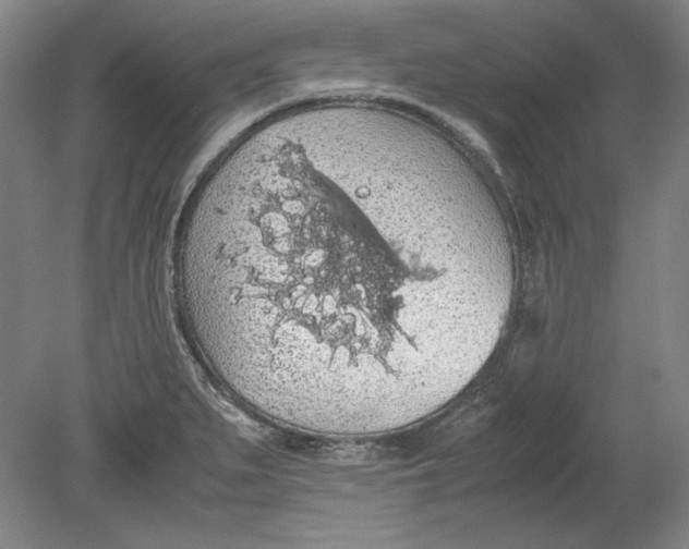 X0000080731279200701021110