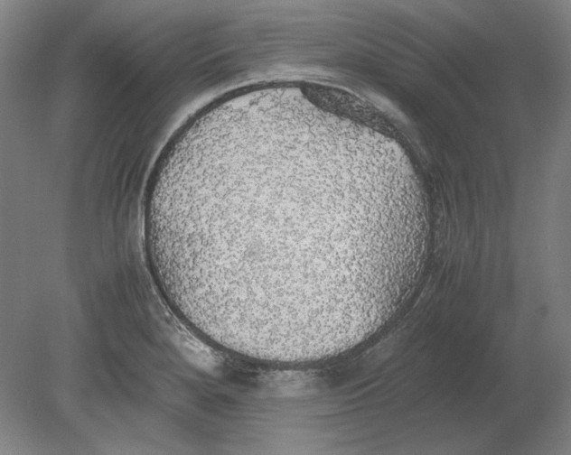 X0000080731280200701021110