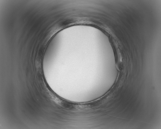 X0000080731281200701021110