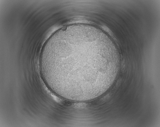 X0000080731282200701021110