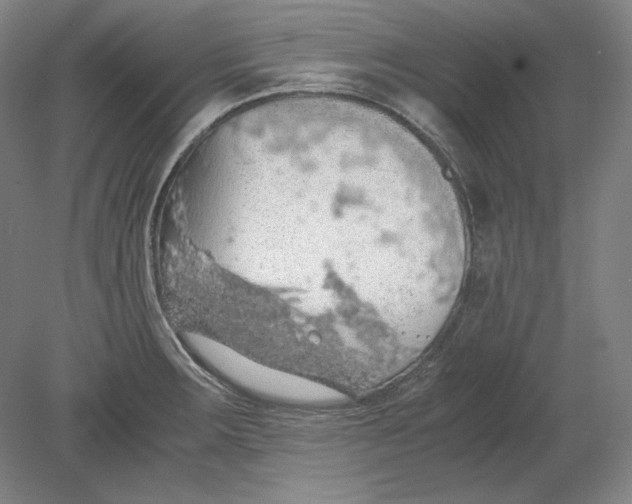 X0000080731283200701021110