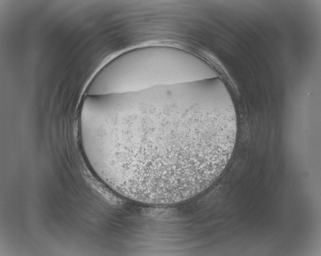 X0000080731284200701021110