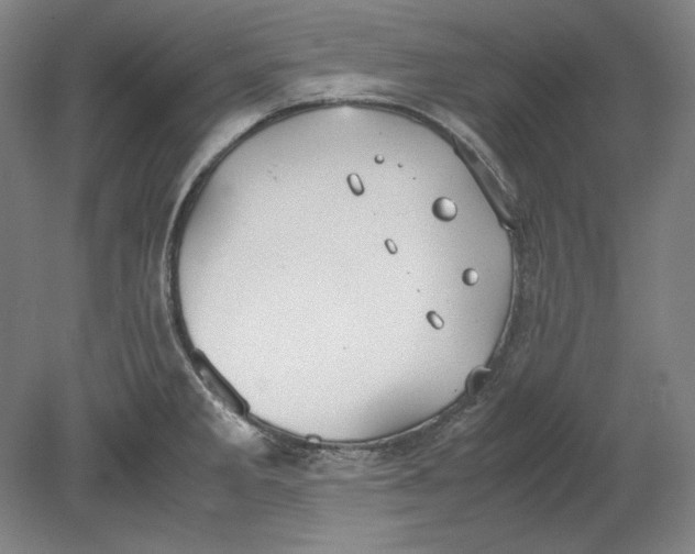 X0000080731285200701021110