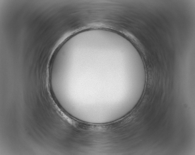 X0000080731286200701021110