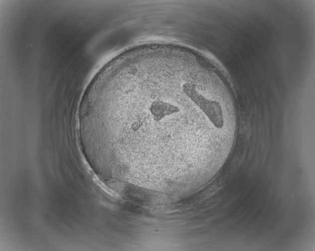 X0000080731287200701021110