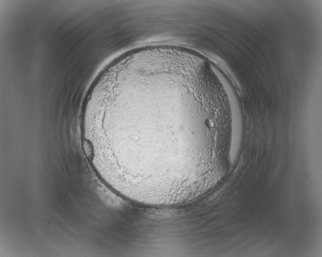 X0000080731288200701021110