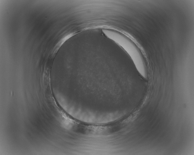 X0000080731289200701021110