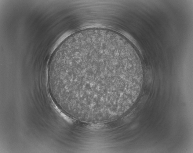 X0000080731290200701021110