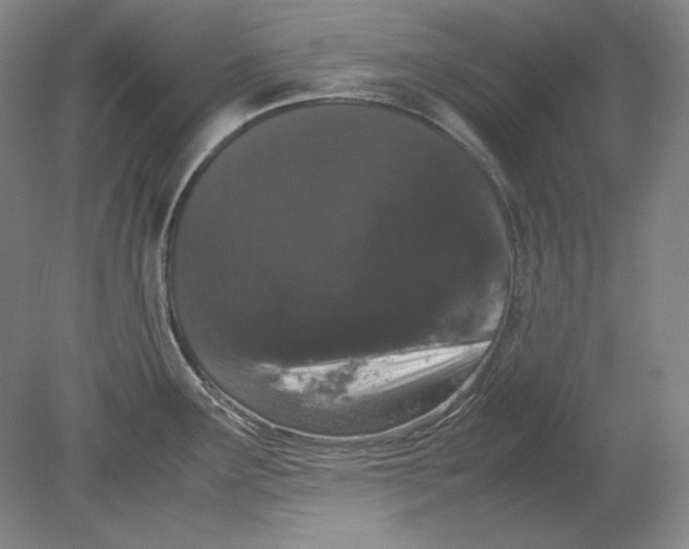 X0000080731291200701021110