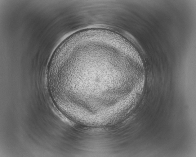 X0000080731292200701021110