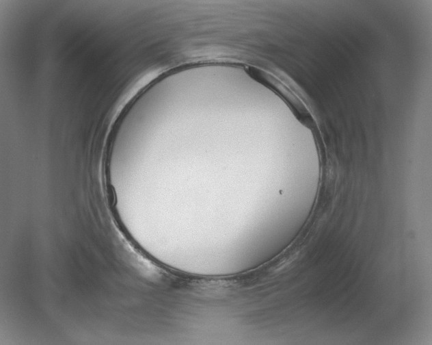 X0000080731293200701021110