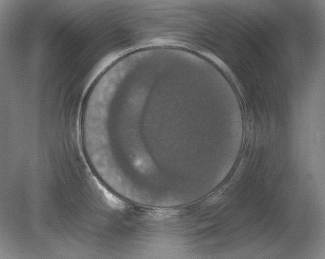 X0000080731294200701021110