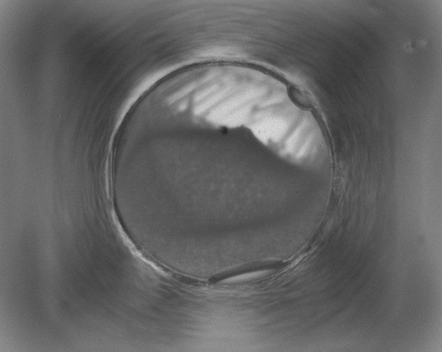 X0000080731295200701021110