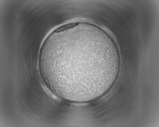 X0000080731296200701021110