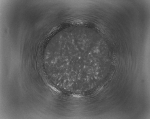 X0000080731297200701021109