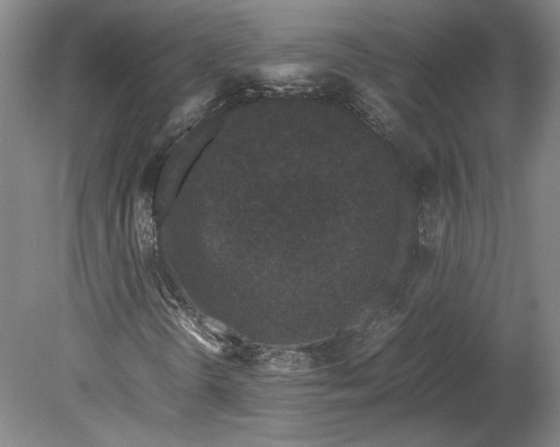 X0000080731298200701021109