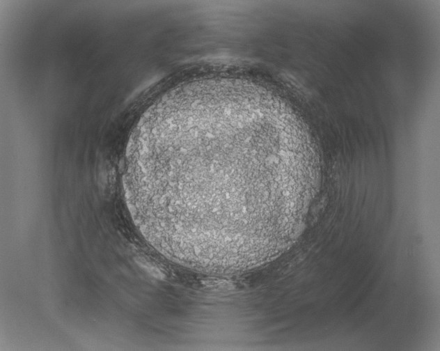 X0000080731302200701021109