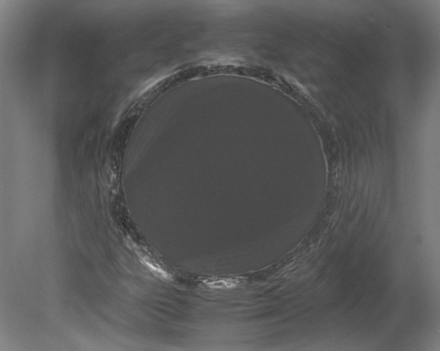 X0000080731303200701021109