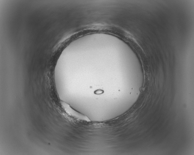 X0000080731304200701021109